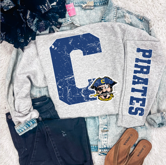 CLEVER BLUEJAY VARSITY SLEEVE SWEATSHIRT {{PREORDER}}