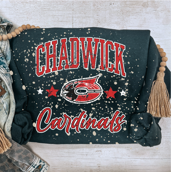 CHADWICK CARDINALS VINTAGE BLEACHED SWEATSHIRT {{PREORDER}}
